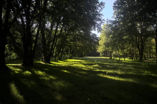 Güneşli bir sonbaharda güneşli bir günde, İtalya kırsalında ağaçlarla çevrili açık alanda.
