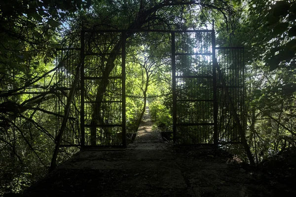 Beton bir şeridin başlangıcında, etrafındaki ağaçlarla birlikte metal bir kapı.