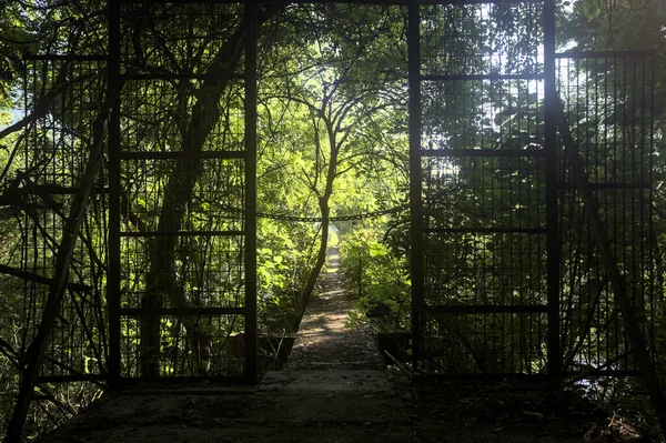 Beton bir şeridin başlangıcında, etrafındaki ağaçlarla birlikte metal bir kapı.