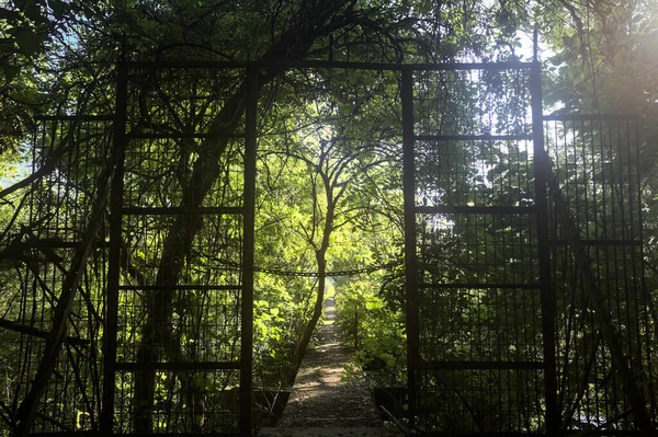 Beton bir şeridin başlangıcında, etrafındaki ağaçlarla birlikte metal bir kapı.