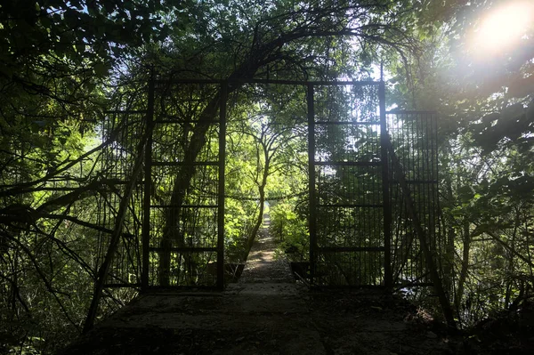 Beton bir şeridin başlangıcında, etrafındaki ağaçlarla birlikte metal bir kapı.
