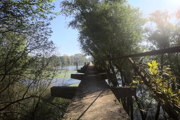 Güneşli bir günde nehrin kenarında bir ağaç ve karşı kıyıda bir orman olan bir nehrin üzerinde aşınmış beton şerit.