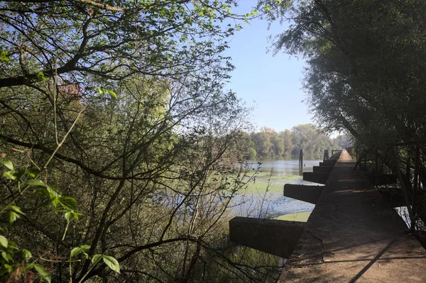 Güneşli bir günde nehrin kenarında bir ağaç ve karşı kıyıda bir orman olan bir nehrin üzerinde aşınmış beton şerit.