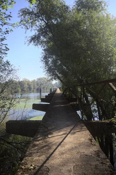 Güneşli bir günde nehrin kenarında bir ağaç ve karşı kıyıda bir orman olan bir nehrin üzerinde aşınmış beton şerit.