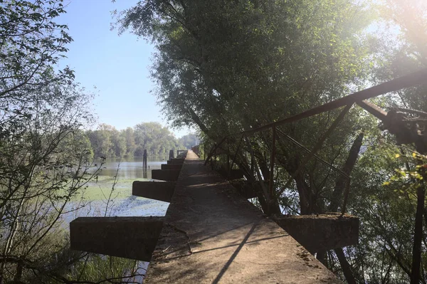 Güneşli bir günde nehrin kenarında bir ağaç ve karşı kıyıda bir orman olan bir nehrin üzerinde aşınmış beton şerit.