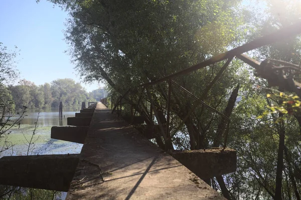 Güneşli bir günde nehrin kenarında bir ağaç ve karşı kıyıda bir orman olan bir nehrin üzerinde aşınmış beton şerit.