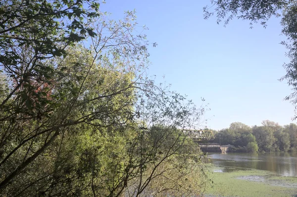 Ağaçların çerçevelediği güneşli bir günde, uzaktaki bir nehir kıyısındaki köprü.