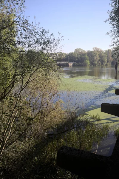 Ağaçların çerçevelediği güneşli bir günde, uzaktaki bir nehir kıyısındaki köprü.