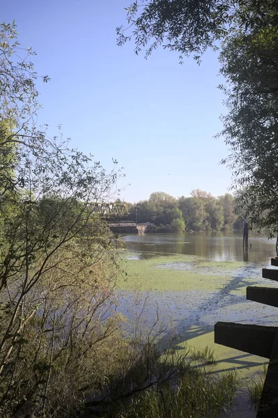 Ağaçların çerçevelediği güneşli bir günde, uzaktaki bir nehir kıyısındaki köprü.