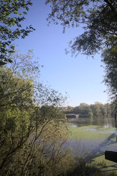 Ağaçların çerçevelediği güneşli bir günde, uzaktaki bir nehir kıyısındaki köprü.