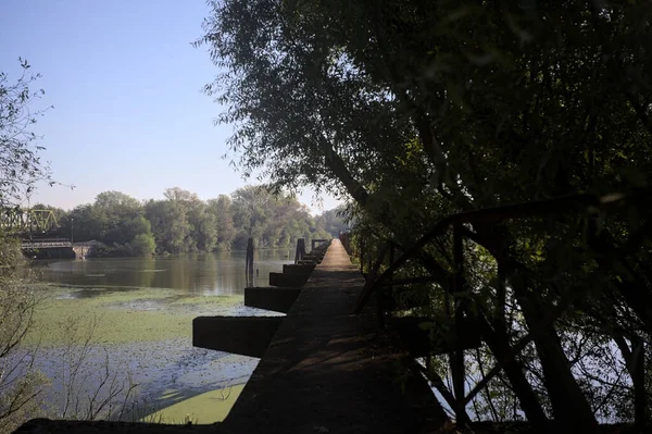 Güneşli bir günde nehrin kenarında bir ağaç ve karşı kıyıda bir orman olan bir nehrin üzerinde aşınmış beton şerit.