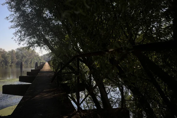 Güneşli bir günde nehrin kenarında bir ağaç ve karşı kıyıda bir orman olan bir nehrin üzerinde aşınmış beton şerit.