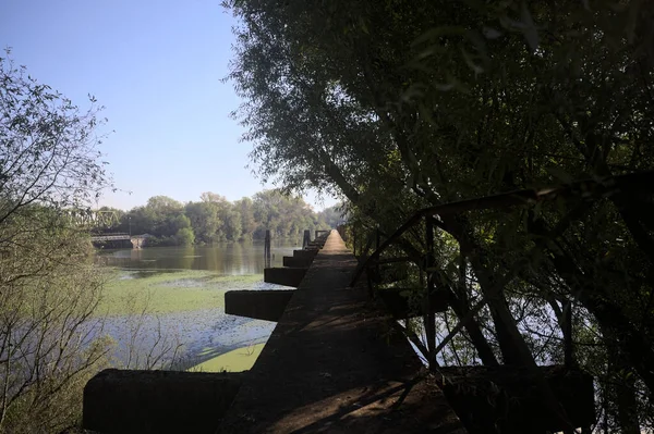 Güneşli bir günde nehrin kenarında bir ağaç ve karşı kıyıda bir orman olan bir nehrin üzerinde aşınmış beton şerit.