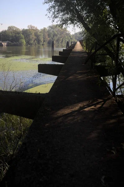 Güneşli bir günde nehrin kenarında bir ağaç ve karşı kıyıda bir orman olan bir nehrin üzerinde aşınmış beton şerit.