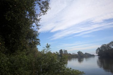 İtalya 'nın kırsal kesimlerinde kısmen bulutlu bir günde sudaki ağaçlarla çevrili bir nehir.
