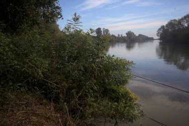İtalya 'nın kırsal kesimlerinde kısmen bulutlu bir günde sudaki ağaçlarla çevrili bir nehir.