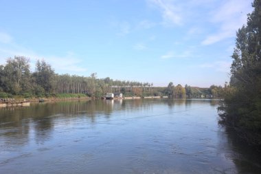 Güneşli bir günde, nehir kıyısının yanındaki platformda su altında ağaçlar ve gökyüzü var.