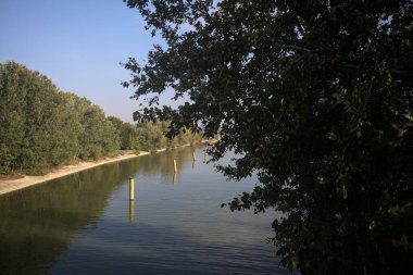 Sahili ve gökyüzünü ağaçların çerçevelediği ve yukarıdaki bir yol köprüsünden görülebilen suya dökmüş, saptırıcı bir kanalda demirleme direkleri.