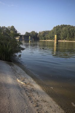 Kıyıların yanında demirleme direkleri ve güneşli bir günde İtalyan kırsalında ağaçlarla çevrili bir yol köprüsü olan saptırıcı bir kanal.