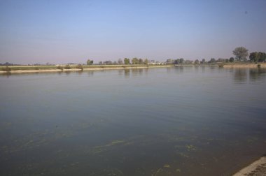 İtalya 'nın kırsal kesimlerinde güneşli bir günde ufuk çizgisi ve köprüsü olan küçük bir ada tarafından yapılan saptırıcı bir kanalda çatal.