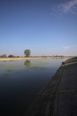 İtalya 'nın kırsal kesimlerinde güneşli bir günde, bir nehrin kıyısındaki bir tarlada yansıması suya düşen kavak.