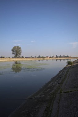 İtalya 'nın kırsal kesimlerinde güneşli bir günde, bir nehrin kıyısındaki bir tarlada yansıması suya düşen kavak.