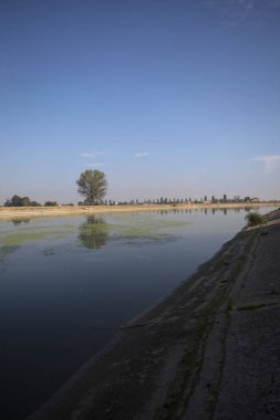 İtalya 'nın kırsal kesimlerinde güneşli bir günde, bir nehrin kıyısındaki bir tarlada yansıması suya düşen kavak.
