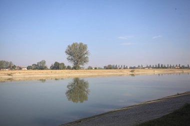 İtalya 'nın kırsal kesimlerinde güneşli bir günde, bir nehrin kıyısındaki bir tarlada yansıması suya düşen kavak.