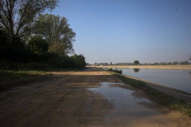 Güneşli bir günde, İtalya 'nın kırsal kesimlerinde ağaçlarla ve çalılarla çevrili gölgelerde toprak izleri.