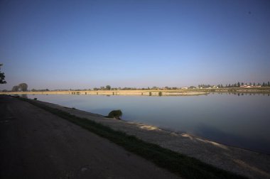 Güneşli bir günde, İtalya 'nın kırsal kesimlerinde ağaçlarla ve çalılarla çevrili gölgelerde toprak izleri.
