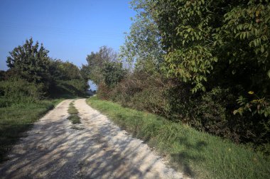 İtalya 'nın kırsal kesimlerinde güneşli bir günde, toprak toprak toprak bir korunun içinden geçiyor.