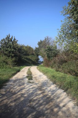 İtalya 'nın kırsal kesimlerinde güneşli bir günde, toprak toprak toprak bir korunun içinden geçiyor.
