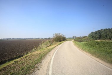 Ufuk çizgisine kadar uzanan pullu bir tarlaya ve İtalya 'nın kırsal kesiminde bir koruluğa yakın bir yerde.