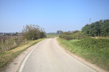 Ufuk çizgisine kadar uzanan pullu bir tarlaya ve İtalya 'nın kırsal kesiminde bir koruluğa yakın bir yerde.