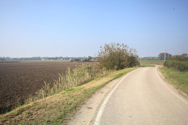 Ufuk çizgisine kadar uzanan pullu bir tarlaya ve İtalya 'nın kırsal kesiminde bir koruluğa yakın bir yerde.