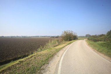 Ufuk çizgisine kadar uzanan pullu bir tarlaya ve İtalya 'nın kırsal kesiminde bir koruluğa yakın bir yerde.