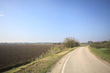 Ufuk çizgisine kadar uzanan pullu bir tarlaya ve İtalya 'nın kırsal kesiminde bir koruluğa yakın bir yerde.