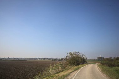 Ufuk çizgisine kadar uzanan pullu bir tarlaya ve İtalya 'nın kırsal kesiminde bir koruluğa yakın bir yerde.