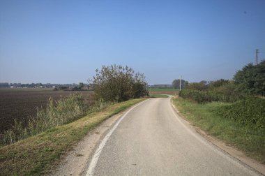 Ufuk çizgisine kadar uzanan pullu bir tarlaya ve İtalya 'nın kırsal kesiminde bir koruluğa yakın bir yerde.
