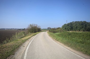 Ufuk çizgisine kadar uzanan pullu bir tarlaya ve İtalya 'nın kırsal kesiminde bir koruluğa yakın bir yerde.