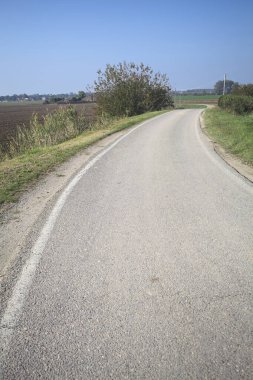 Ufuk çizgisine kadar uzanan pullu bir tarlaya ve İtalya 'nın kırsal kesiminde bir koruluğa yakın bir yerde.