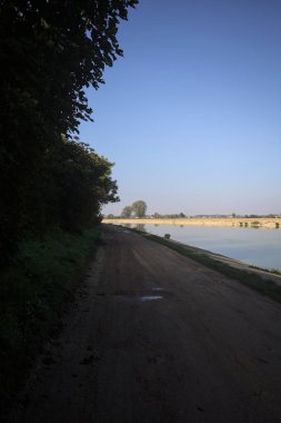 Güneşli bir günde, İtalya 'nın kırsal kesimlerinde ağaçlarla ve çalılarla çevrili gölgelerde toprak izleri.