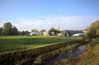 İtalya kırsalındaki bir köyün evleri güneşli bir günde bir tarlada balya yığınlarıyla çevrili bir kilisenin çan kulesi.