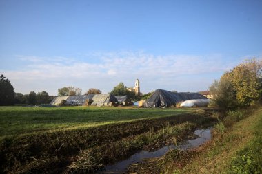 İtalya kırsalındaki bir köyün evleri güneşli bir günde bir tarlada balya yığınlarıyla çevrili bir kilisenin çan kulesi.