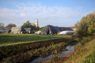 İtalya kırsalındaki bir köyün evleri güneşli bir günde bir tarlada balya yığınlarıyla çevrili bir kilisenin çan kulesi.