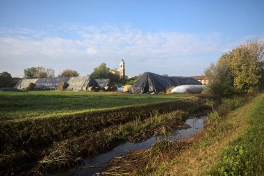 İtalya kırsalındaki bir köyün evleri güneşli bir günde bir tarlada balya yığınlarıyla çevrili bir kilisenin çan kulesi.