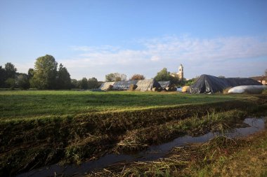 İtalya kırsalındaki bir köyün evleri güneşli bir günde bir tarlada balya yığınlarıyla çevrili bir kilisenin çan kulesi.