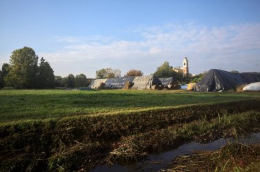 İtalya kırsalındaki bir köyün evleri güneşli bir günde bir tarlada balya yığınlarıyla çevrili bir kilisenin çan kulesi.