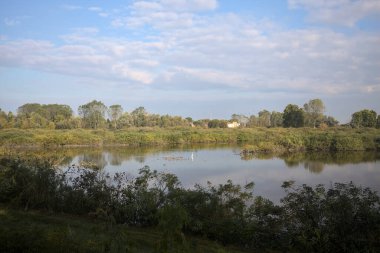 Etrafı sazlıklarla çevrili bir gölet. Arkasında tarlalar ve uzakta evler var. Gökyüzü de suyun üzerine düşmüş.