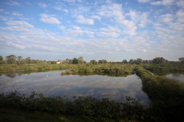 Etrafı sazlıklarla çevrili bir gölet. Arkasında tarlalar ve uzakta evler var. Gökyüzü de suyun üzerine düşmüş.